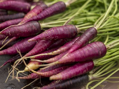 Purple carrots. Things To Know About Purple carrots. 